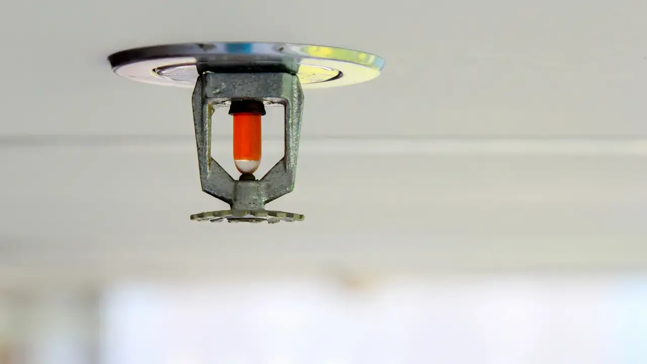 Brandskyddet sbf 120, en takmonterad sprinklerspridare med orange glaskolv, redo att skydda.