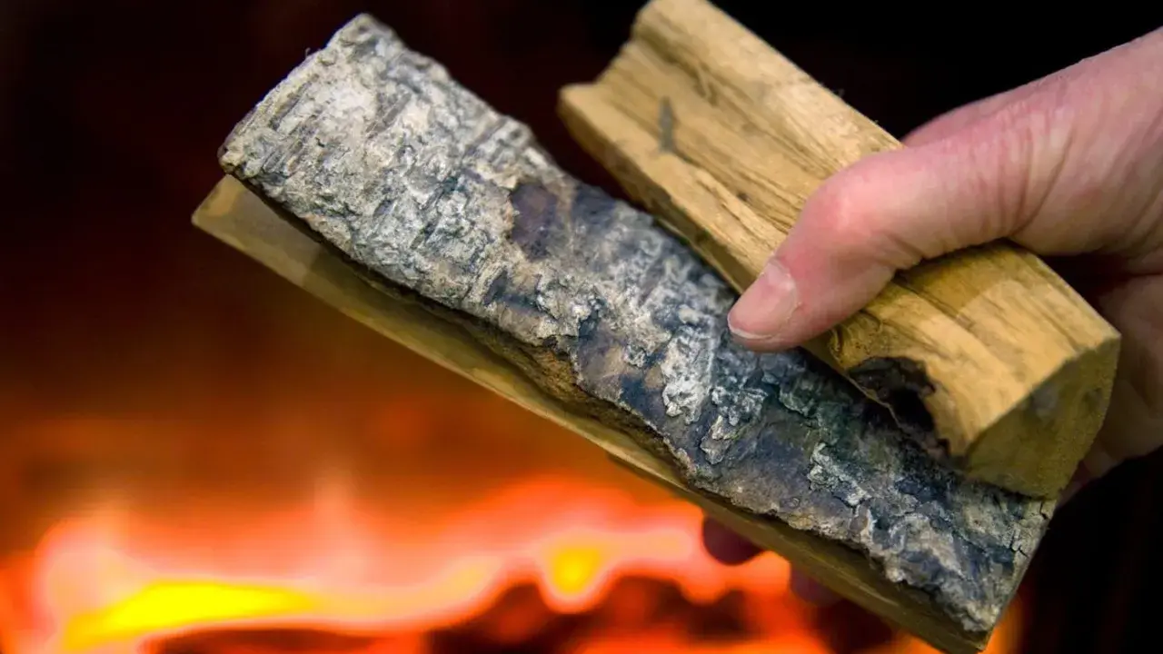 Hand håller vedbitar med bark, redo att elda med fuktig ved. Flammor syns i bakgrunden.