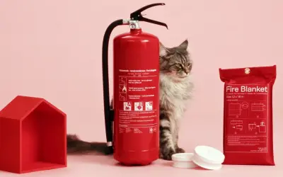 En katt spanar in en röd brandsläckare och en brandfilt. Ett litet rött hus står bredvid.