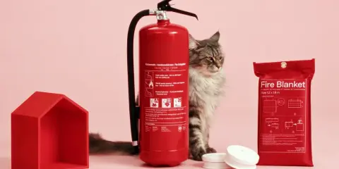 En katt spanar in en röd brandsläckare och en brandfilt. Ett litet rött hus står bredvid.
