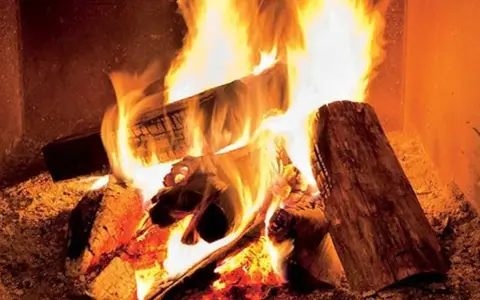 Eldar med tallved i en sprakande brasa. Värmen sprider sig från de glödande stockarna.