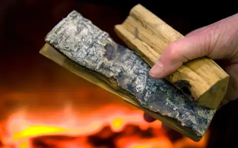Hand håller vedbitar med bark, redo att elda med fuktig ved. Flammor syns i bakgrunden.