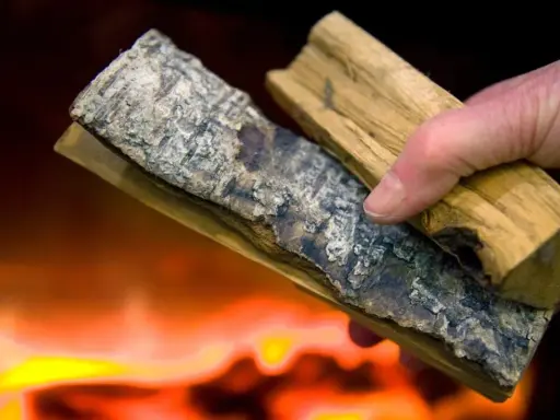 Hand håller vedbitar med bark, redo att elda med fuktig ved. Flammor syns i bakgrunden.